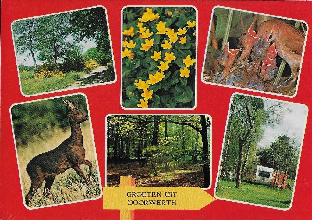 So22 Ongelopen ansichtkaart groeten uit Doorwerth, Ophalen of Verzenden, 1980 tot heden, Ongelopen, Noord-Brabant