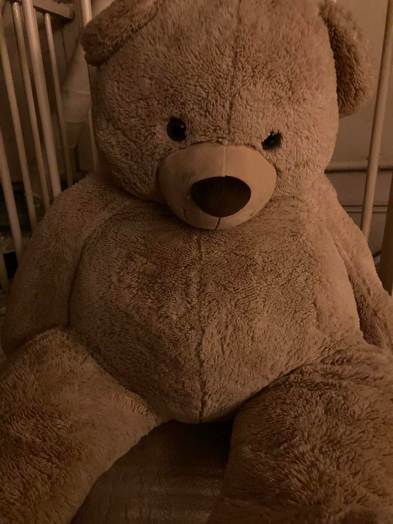 Grote knuffelbeer, Ophalen, Gebruikt, Beer, Bruin