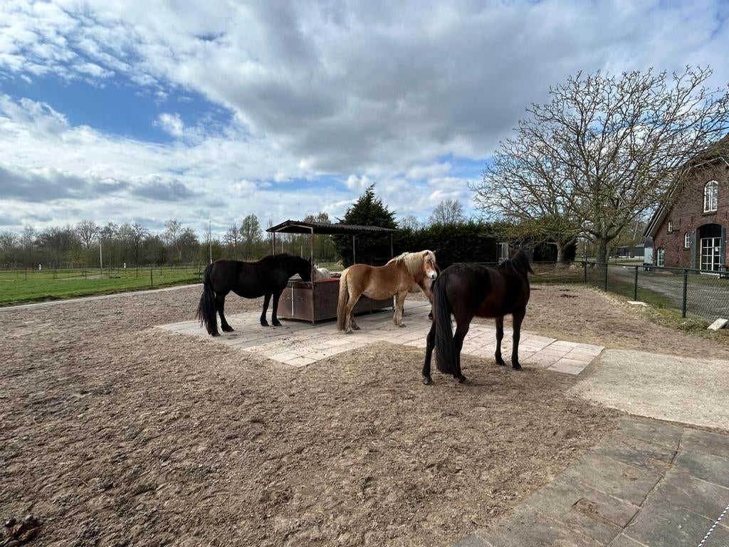 Paddock paradise heeft plek voor paard/pony in Maarsbergen., Dieren en Toebehoren, Ophalen of Verzenden, Nieuw