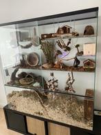 Chinchilla terrarium of grote degoe kooien kopen, Kooi, 110 cm of meer, Nieuw, Ophalen of Verzenden
