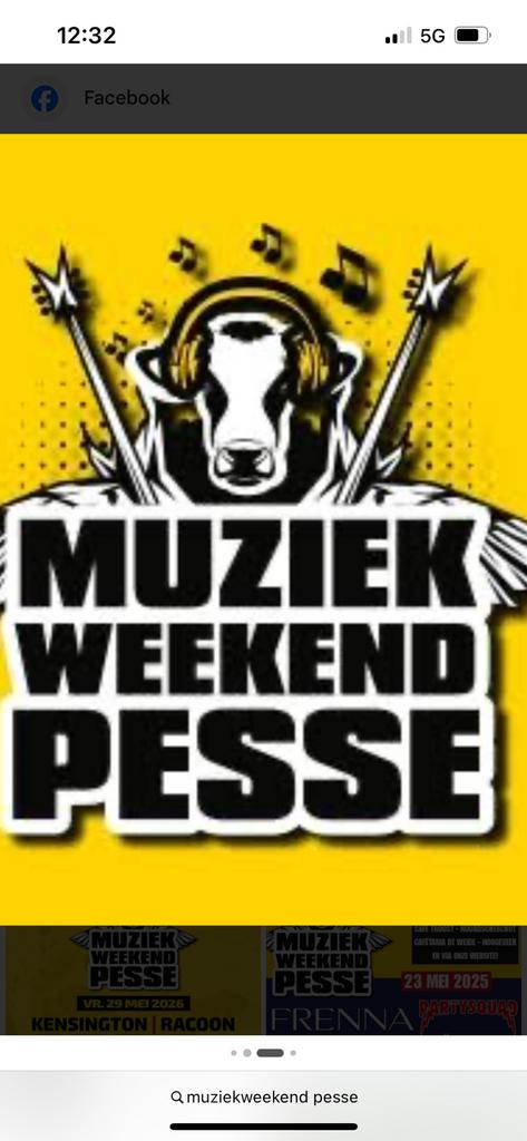 2x tickets te koop muziekweekend Pesse, Twee personen