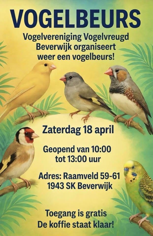 vogelbeurs, Geslacht onbekend, Kleurkanarie