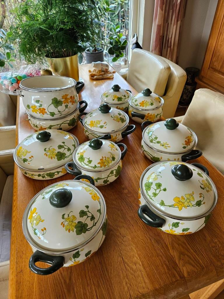 Geranium Villeroy en Boch pannen, Ophalen of Verzenden