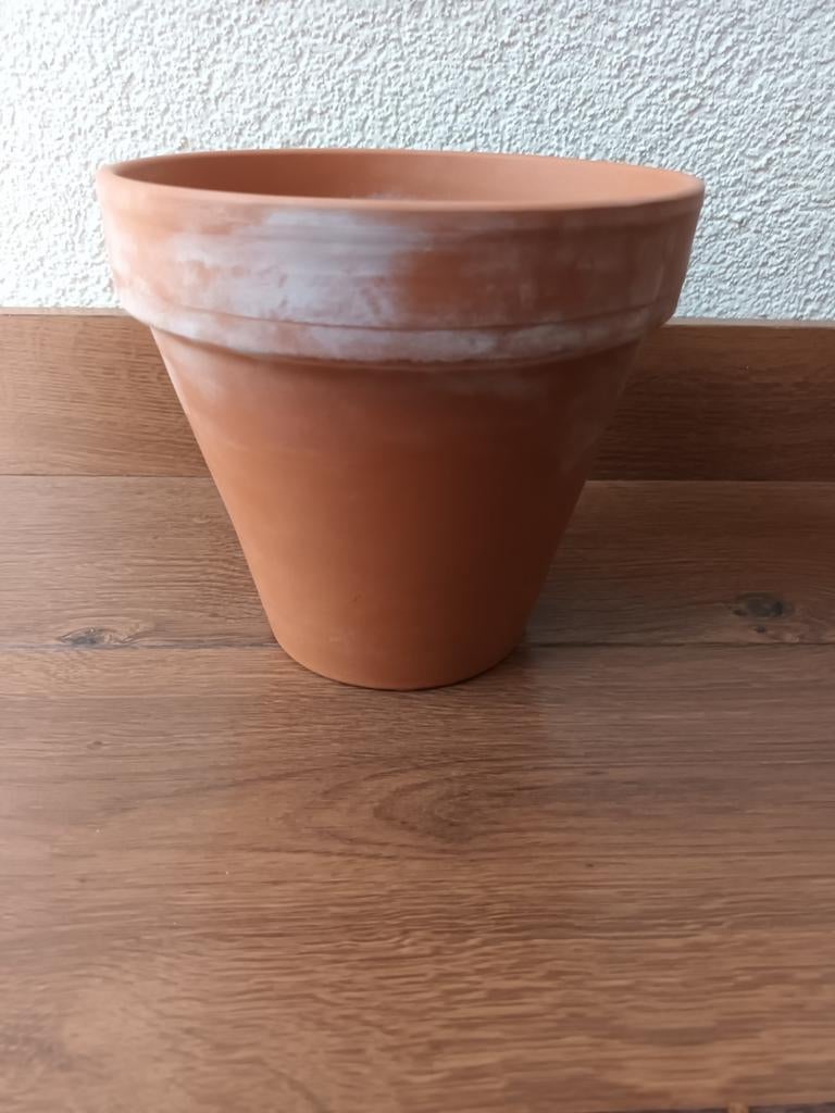 Bloempot Monstera Mystery - 26 cm- Nederland