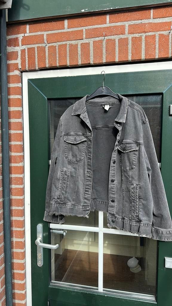 Kort grijs spijkerjacky H&M 54, Kleding | Dames, Ophalen of Verzenden, Zo goed als nieuw, Maat 46/48 (XL) of groter, Grijs