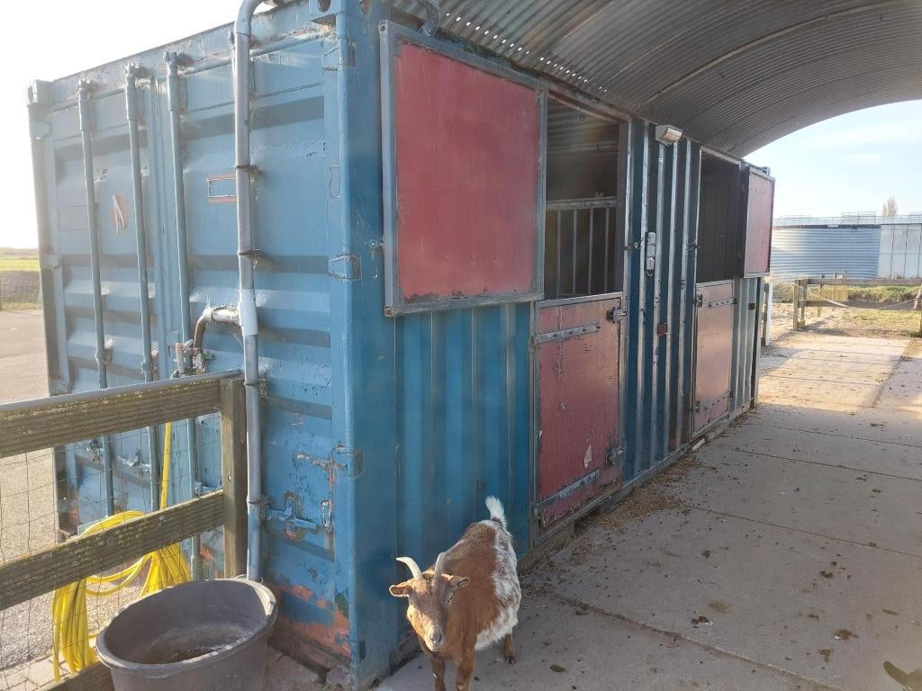 stalcontainer 20 voet, mobiele stal, tevens betonplaten, Stalling, 2 of 3 paarden of pony's