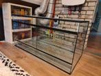 Nieuw paludarium / terrarium 1005050 cm, Dieren en Toebehoren, Reptielen en Amfibieën | Toebehoren, Ophalen, Nieuw, Terrarium of Paludarium