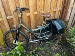 Dames stadsfiets Pegasus, Gebruikt, Versnellingen, 56 cm of meer, Ophalen