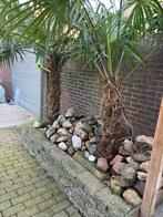 Gratis stenen, Tuin en Terras, Ophalen of Verzenden, Zo goed als nieuw