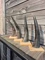 Hoorns, Ophalen of Verzenden, Zo goed als nieuw, Overige soorten, Overige typen