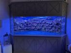 Exclusief zeeaquarium, Ophalen, Gevuld zeewateraquarium