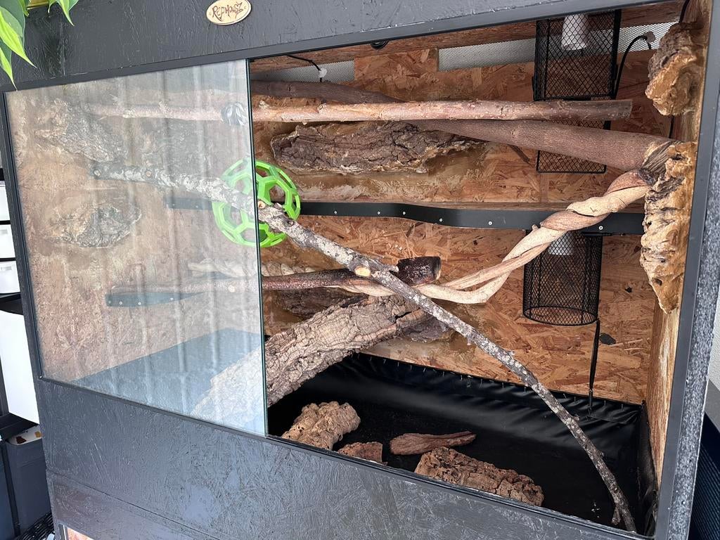 120 x 60 x 90 cm terrarium, Ophalen, Gebruikt, Terrarium of Paludarium