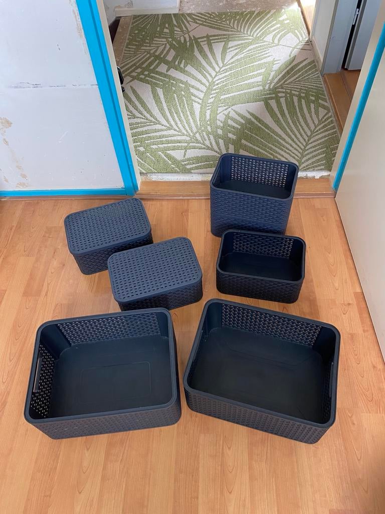 Kratten merk curver, 40 tot 60 cm, 50 tot 75 cm, Minder dan 35 cm, Ophalen of Verzenden