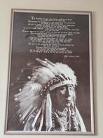 Grote wissellijst met indiaan, Ophalen, Zo goed als nieuw, 75 cm of meer