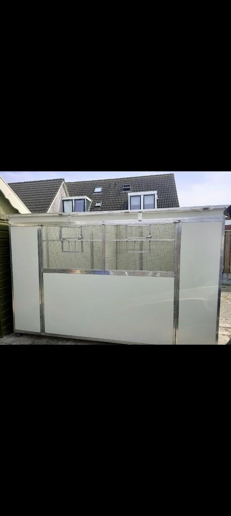 Onderhoud vrij duivenhok, Mannelijk, Postduif