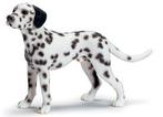 Schleich 16346 dalmatiër, dierfiguur, Ophalen of Verzenden, Zo goed als nieuw, Hond of Kat, Beeldje of Figuurtje