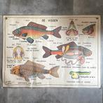 Vintage dubbelzijdige schoolposter vissen en amfibieën Hebri, Ophalen of Verzenden, Natuur en Biologie