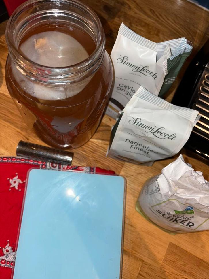 Kombucha Scoby biologisch, Diversen, Levensmiddelen, Ophalen