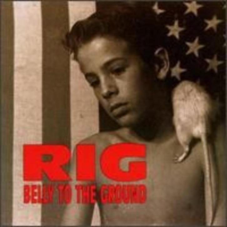 cd van Rig ‎– Belly To The Ground, Cd's en Dvd's, Cd's | Rock, Zo goed als nieuw, Poprock, Verzenden