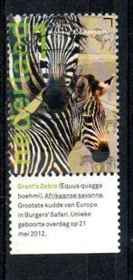 ‹(•¿•)› nl # j0380 burgers'zoo tab - zebra, Verzenden, Na 1940, Gestempeld