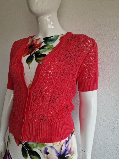 Peter Hahn vestje. Maat 40/42, Fuchsia., Kleding | Dames, Truien en Vesten, Nieuw, Maat 38/40 (M), Roze, Ophalen of Verzenden