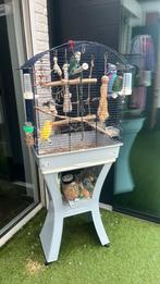 2x dwergpapegaai met kooi, Dieren en Toebehoren, Dwergpapegaai of Agapornis