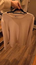 Mooie wit crème we fashion sweater trui met wafel maat xxl, Kleding | Dames, WE, Wit, Maat 46/48 (XL) of groter, Ophalen of Verzenden