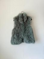 Bont vest | Vossenbont | Echt Bont | Bont Gilet, Verzenden, Gedragen, Maat 38/40 (M), Blauw