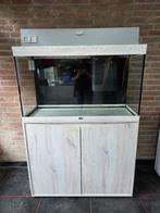 Aquatlantis aquarium met onderkast grijs, Ophalen, Gebruikt, -, -