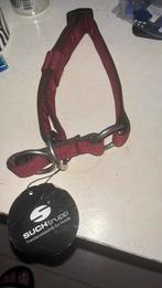 Honden halsband, Ophalen of Verzenden, Zo goed als nieuw