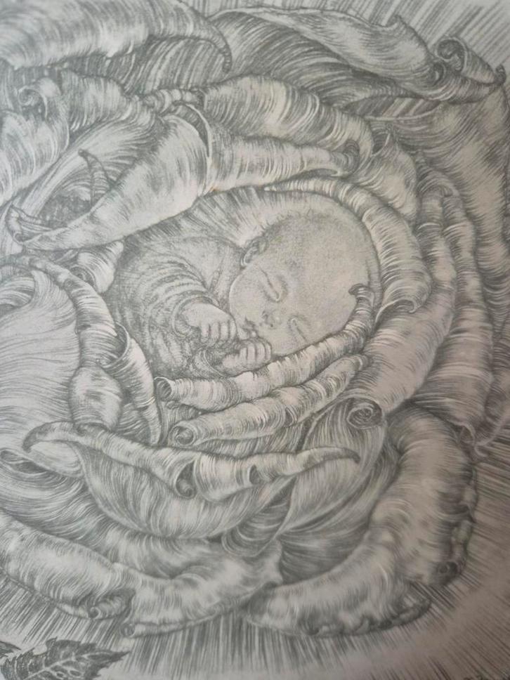 Sulamith Wulfing DieRose 1973, Antiek en Kunst, Kunst | Litho's en Zeefdrukken, Ophalen of Verzenden