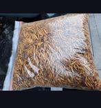 Gedroogde Meelwormen snack voor oa kippen, Dieren en Toebehoren, Ophalen of Verzenden