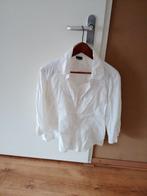 20 stuks Dames kledingpakket maat XL, Ophalen of Verzenden, Gedragen, Maat 46/48 (XL) of groter