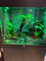 Juwel Lido 200 + onderkast & Eheim apparatuur. Nieuw €1650,-, Dieren en Toebehoren, Vissen | Aquaria en Toebehoren, Ophalen, Zo goed als nieuw