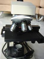 Olympus Student Microscoop Model CHC-012, Ophalen, Gebruikt, 400x tot 1000x, Biologische microscoop