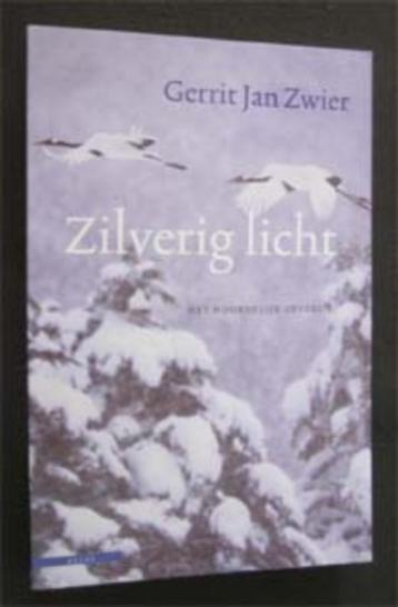 Gerrit Jan Zwier : Zilverig licht beschikbaar voor biedingen