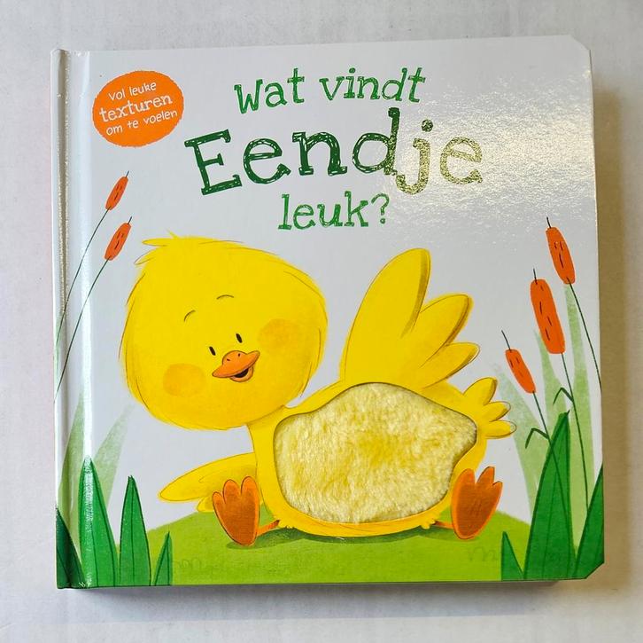 Daniel Mills - Wat vindt eendje leuk?, Boeken, Kinderboeken | Jeugd | onder 10 jaar, Nieuw, Ophalen of Verzenden