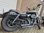 Harley Davidson 883 Black Custom, Particulier, Chopper