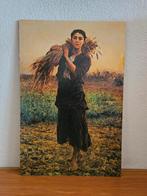 Poster op plaat, 60x90 cm., Ophalen, Rechthoekig Staand