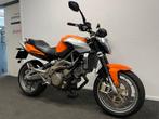 Aprilia SHIVER 750 (bj 2008), Motoren, Motoren | Aprilia, 750 cc, 2 cilinders, Motorrijbewijs A, Bedrijf