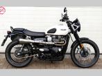 TRIUMPH STREET SCRAMBLER (bj 2019), Toermotor, Bedrijf, 900 cc, 2 cilinders