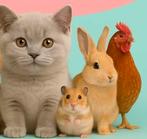 Huisdieren oppas aangeboden Amersfoort, Januari, Vrouwelijk