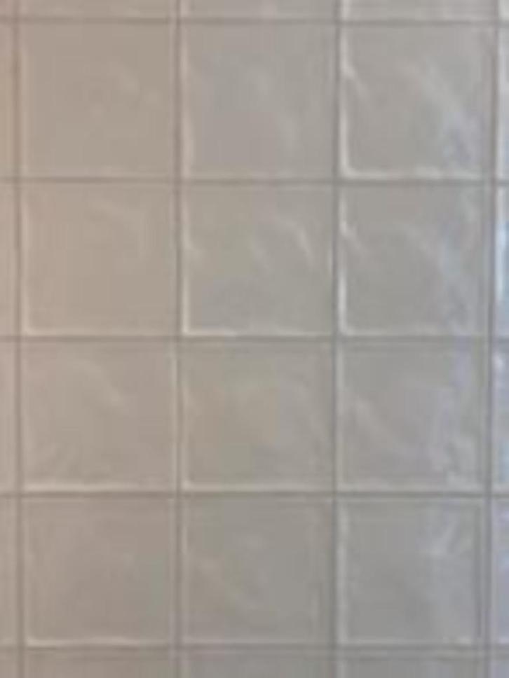 WANDTEGEL EL BARCO CHIC BONE 15X15X1', Doe-het-zelf en Verbouw, Tegels, Nieuw, Wandtegels, Keramiek, Minder dan 20 cm, Minder dan 20 cm