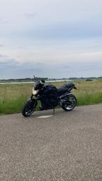 Yamaha FZ1N, Motoren, Particulier