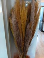 Pluimen 0.50 per stuk, Ophalen of Verzenden, Zo goed als nieuw