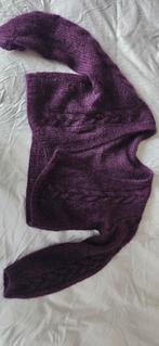 GEZOCHT: Paars Mohair Vest - Sissy Boy, Kleding | Dames, Sissy Boy, Ophalen of Verzenden, Zo goed als nieuw, Paars