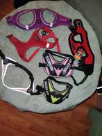 Honden tuigjes, Ophalen of Verzenden