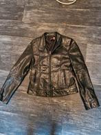 jasje maat S, Kleding | Dames, Jassen | Winter, Transmission, Zwart, Ophalen of Verzenden, Maat 36 (S)