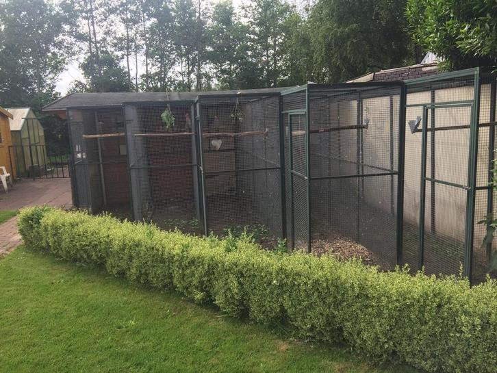 Te koop volièrepanelen, Dieren en Toebehoren, Vogels | Hokken en Kooien, Gebruikt, Volière, Aluminium, Ophalen