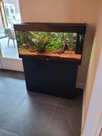Juwel rio 180 compleet, Dieren en Toebehoren, Ophalen, Zo goed als nieuw, Gevuld zoetwateraquarium